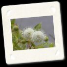 WhiteThings.jpg